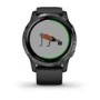 Garmin Vivoactive 4 Black/Slate 45mm
