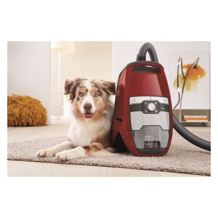 Miele BlizzardCX1Cat&DogPowerLine Blizzard Cat and Dog Powerline Cylinder Vacuum Cleaner - Red