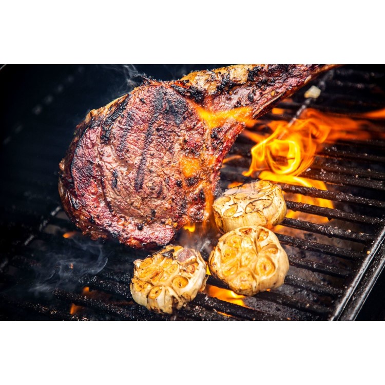 Pit Boss Onyx Classic 700 - Wood Pellet BBQ