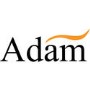 Adam Electric Stove in Black - Aviemore