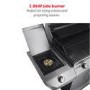 Char-Broil Performance Series - 3 Burner Gas BBQ with Side Burner