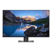 DELL U4320Q 43" IPS 4K UHD USB-C Monitor