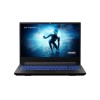 Medion Erazer NB Deputy P25 AMD Rzen 7 16GB 1TB RTX 3060 144Hz FHD 15.6 Inch Windows 11 Home Gaming Laptop