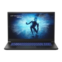 Refurbished Medion ERAZER Defender P50i Intel Core i7 16GB RAM 1TB SSD RTX 4060 144Hz 17.3 Inch FHD Windows 11 Home Gaming Laptop