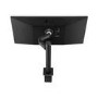 LG 34WN780 34" IPS UltraWide Ergo QHD Monitor