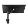 LG 34WN780 34" IPS UltraWide Ergo QHD Monitor