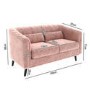 Pink Velvet 2 Seater Sofa - Lotti