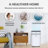electriQ 12L Low-Energy Quiet Laundry Dehumidifier and HEPA Air Purifier