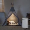 electriQ 12L Low-Energy Quiet Laundry Dehumidifier and HEPA Air Purifier