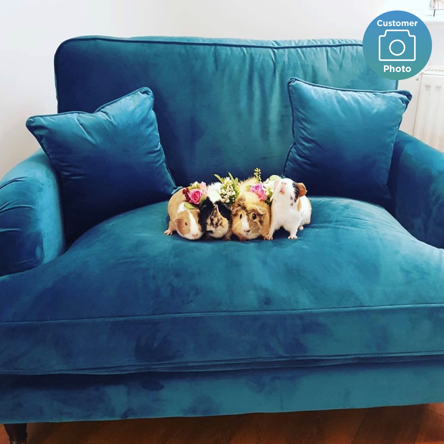 Teal Blue Velvet Loveseat Payton BuyItDirect.ie