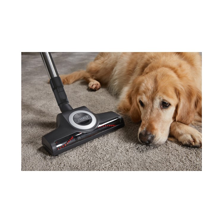 Miele CX1BLIZ Cat & Dog Bagless Cylinder Vacuum Cleaner – Pet Hair & Allergen Removal
