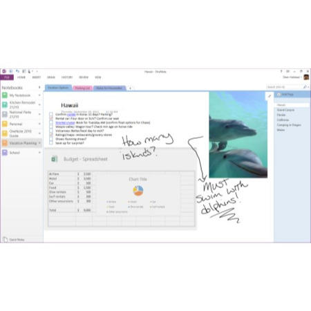 Microsoft Office Home and Student 2013