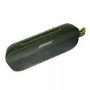 Bose SoundLink Flex Bluetooth Portable Speaker - Cypress Green