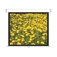 Optoma DS-3120PMG 120 Inch Projection Screen