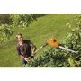 Flymo Sabre Cut XT 48cm Corded Hedge Trimmer with Telescopic Handle