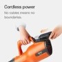 Flymo 18V EasiClear 100 Kit Cordless Battery Leaf Blower