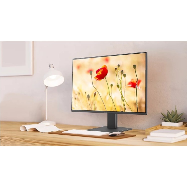 BenQ GW2491 24" IPS Full HD 100Hz Eye Care Monitor