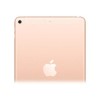 Refurbished Apple iPad Mini 5 256GB Cellular 7.9&quot; 4G 2019 - Gold