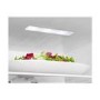 Refurbished Hisense RL423N4AC11 Freestanding 320 Litre Frost Free Fridge