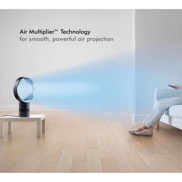 Dyson AM06 12 Inch Desk Fan - White and Silver