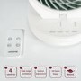 7 Inch Oscillating Desk Fan - Powerful & Compact