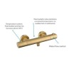 Brushed Brass Thermostatic Mixer Shower with Round Overhead &amp; Pencil Hand Shower - Arissa