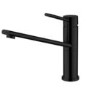 Essence Ava Single Lever Monobloc Mixer Kitchen Tap- Black