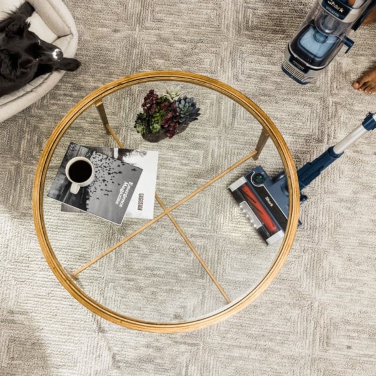 Refurbished Shark AZ3000UKT Stratos XL Upright Vacuum Cleaner Navy Blue