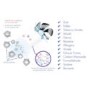Meaco Airvax Air Purifier up to 25 sqm - Black
