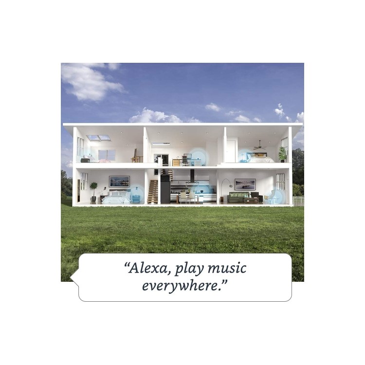 GRADE A1 - Amazon Echo Dot 4th Gen - Charcoal