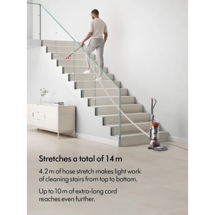 Dyson BALLANIMALMFNEW Ball Animal Multi Floor Bagless Vacuum Cleaner – Powerful Pet & Floor Cleaning Performance