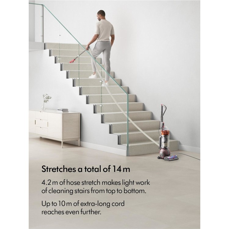 Dyson Ball Animal Multi Floor Upright Corded Vacuum Cleaner