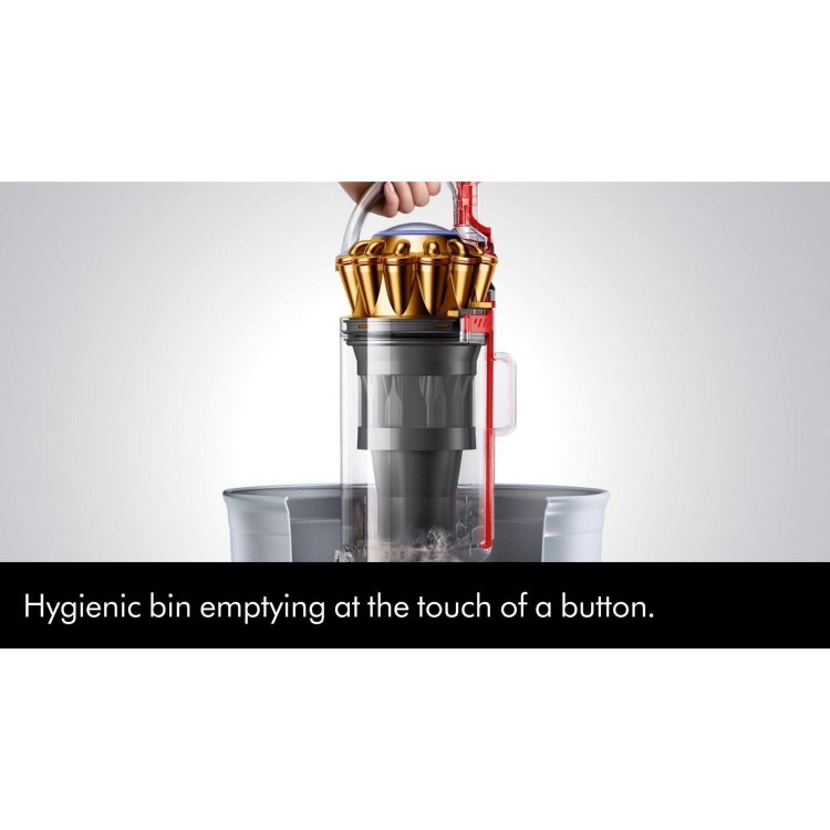 Dyson BALLANIMALORIG2 Ball Animal Original 2 Upright Corded Vacuum Cleaner