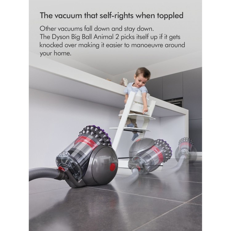 Dyson Big Ball Animal 2 Cylinder Corded Vacuum Cleaner - Iron & Purple