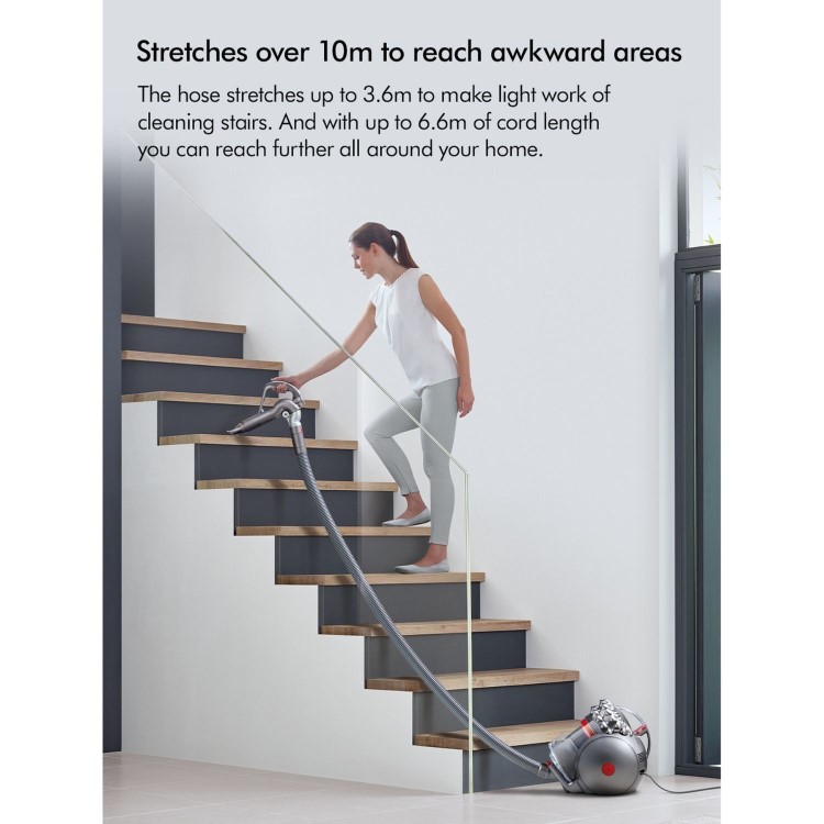 Dyson Big Ball Animal 2 Cylinder Corded Vacuum Cleaner - Iron & Purple