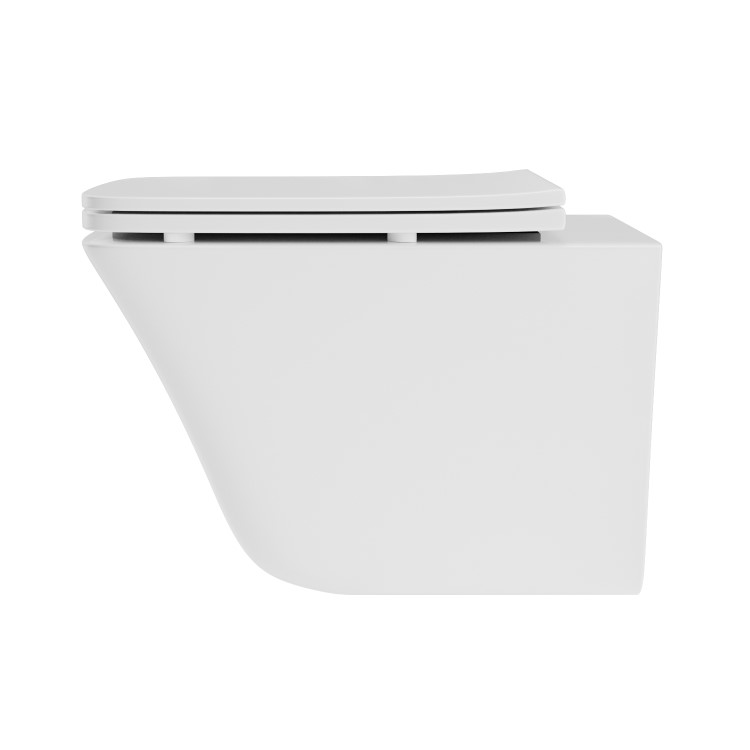 ALMOST PERFECT - Wall Hung Rimless Short Projection Toilet with Soft Close Seat – Boston