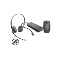 HP USB-C Multiport Hub and Wireless Mouse Combo with Poly Blackwire 3220 USB Headset