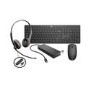 HP USB-C Multiport Hub with Wireless Keyboard & Mouse Combo and Poly Blackwire 3220 USB Headset