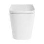 Back to Wall Rimless Toilet with Soft Close Seat - Albi