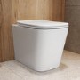 ONLY OPENED - Back to Wall Rimless Toilet with Soft Close Seat - Albi