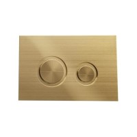 ALMOST PERFECT - Zana Brushed Brass Mechanical Flush Plate