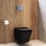 Matt Black Wall Hung Toilet with Soft Close Seat, Chrome Pnuematic Flush Plate, 1168mm Frame & Cistern - Albi