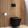 Matt Black Wall Hung Toilet with Soft Close Seat, Black Pnuematic Flush Plate, 1168mm Frame & Cistern - Albi