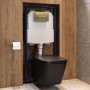 Matt Black Wall Hung Toilet with Soft Close Seat, Brass Pnuematic Flush Plate, 1168mm Frame & Cistern - Albi