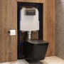 Matt Black Wall Hung Toilet with Soft Close Seat, Gunmetal Pnuematic Flush Plate, 1168mm Frame & Cistern - Albi