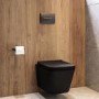 Matt Black Wall Hung Toilet with Soft Close Seat, Gunmetal Pnuematic Flush Plate, 1168mm Frame & Cistern - Albi