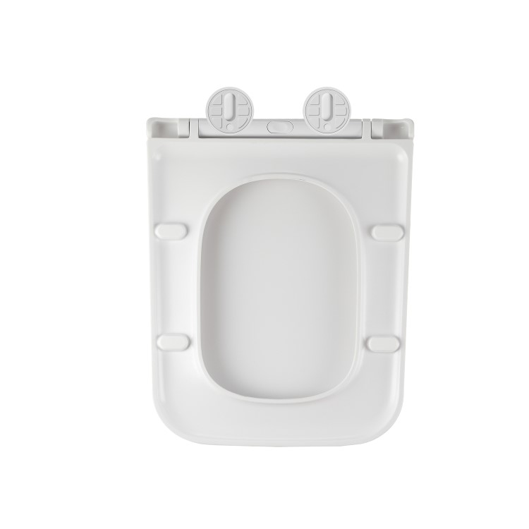 Wall Hung Toilet with Soft Close Seat, Pneumatic Chrome Flush Plate, 820mm Frame & Cistern - Albi