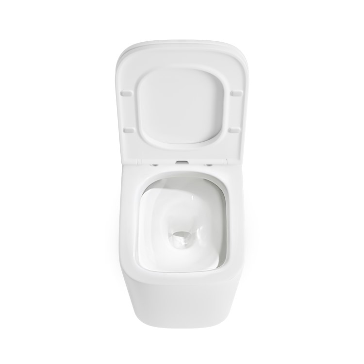 ONLY OPENED - Wall Hung Rimless Toilet with Soft Close Seat - Albi