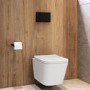 Wall Hung Toilet with Soft Close Seat, Mechanical Black Flush Plate, 1168mm Frame & Cistern - Albi