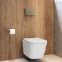 Wall Hung Toilet with Soft Close Seat, Mechanical Chrome Flush Plate, 1168mm Frame & Cistern - Albi